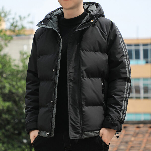 Men's Fashion Casual Down Cotton-padded