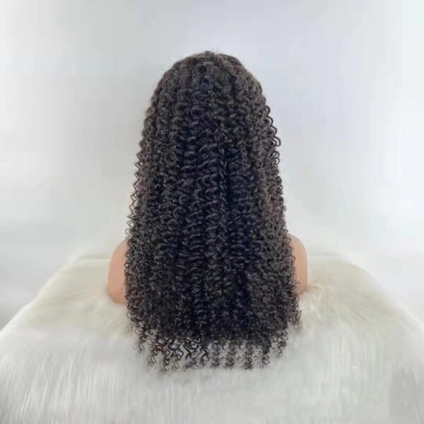 Jerry Curly 13x4 Lace Front Human Hair Wigs150 - Image 3